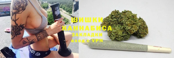 сатива Богородицк