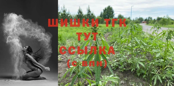 сатива Богородицк
