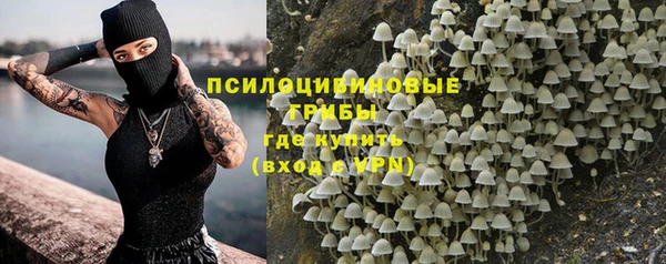 сатива Богородицк