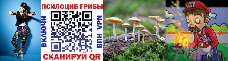 ОМГ ОМГ как зайти  Тверь  Галлюциногенные грибы Psilocybine cubensis 